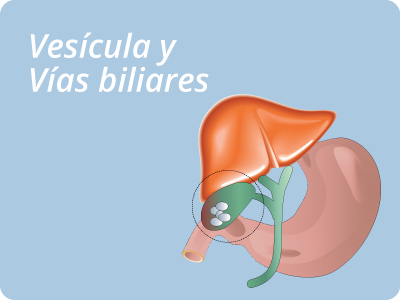 Vesicula y Vias biliares barranquilla colombia